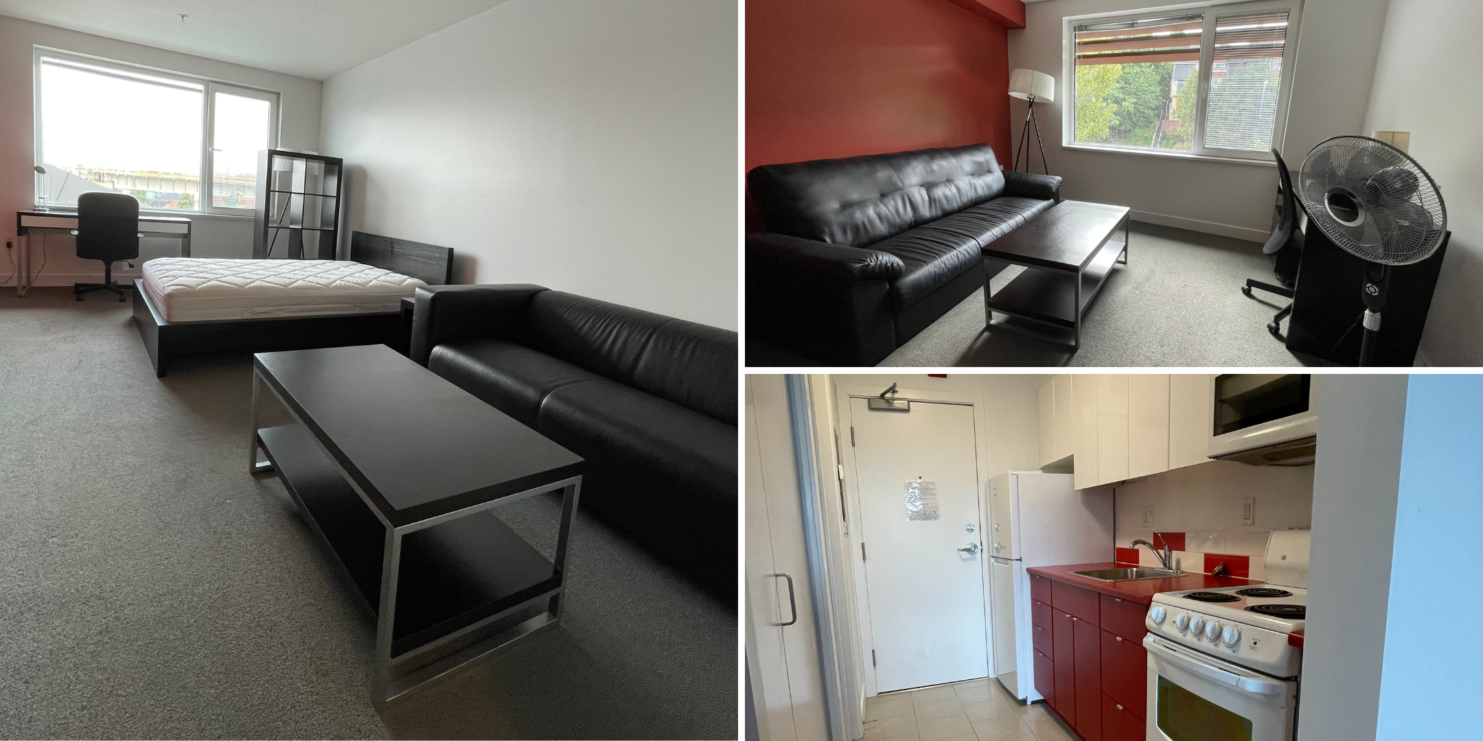 collage of a semi furnished apartment