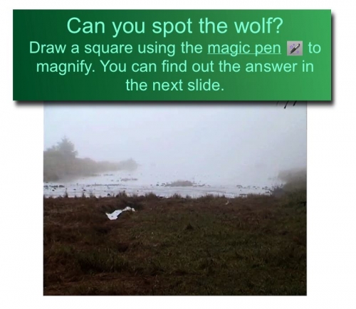 SpottheWolf_2.jpg